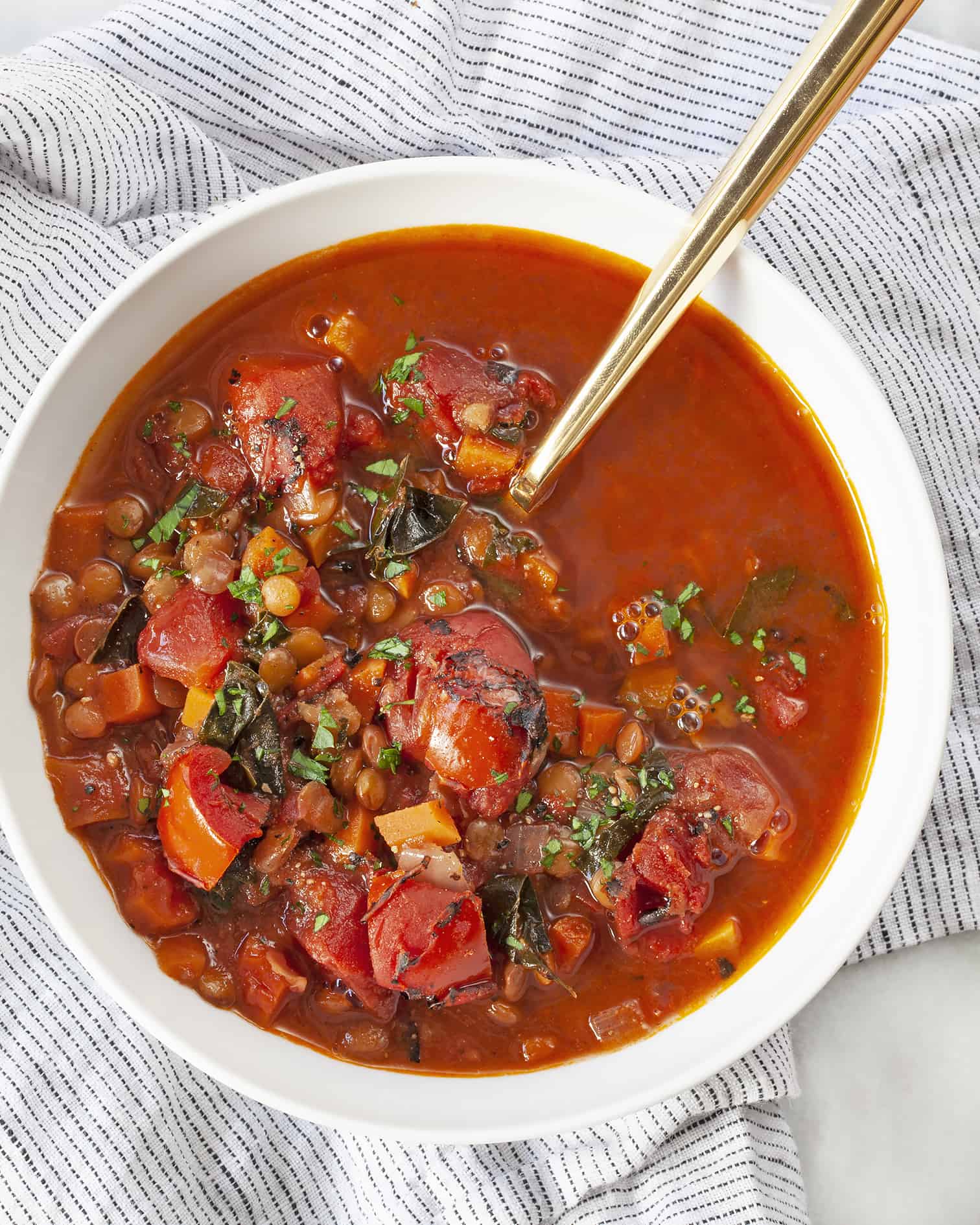 Tomato Carrot Lentil Soup Last Ingredient tomato-carrot-lentil-soup-last-ingredient