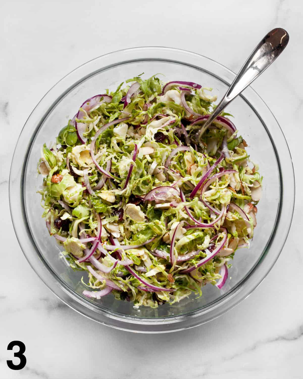 Brussel sprout salad in a bowl tossed with vinaigrette.