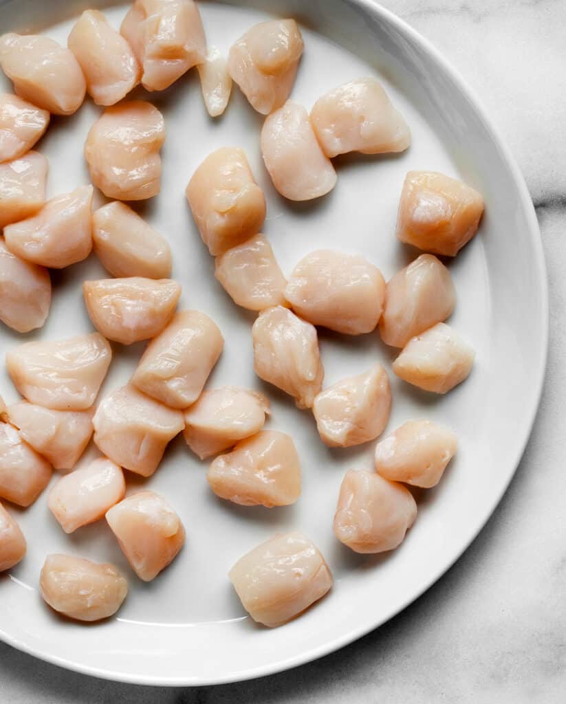 Raw scallops on a plate