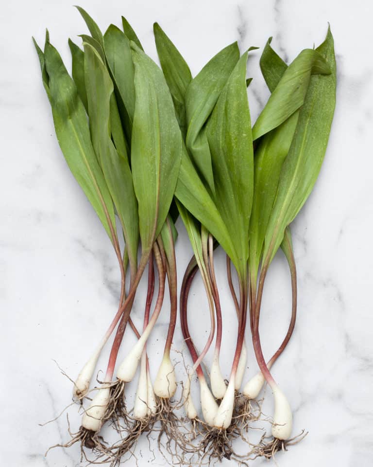 Easy Ramp Pesto Recipe Last Ingredient