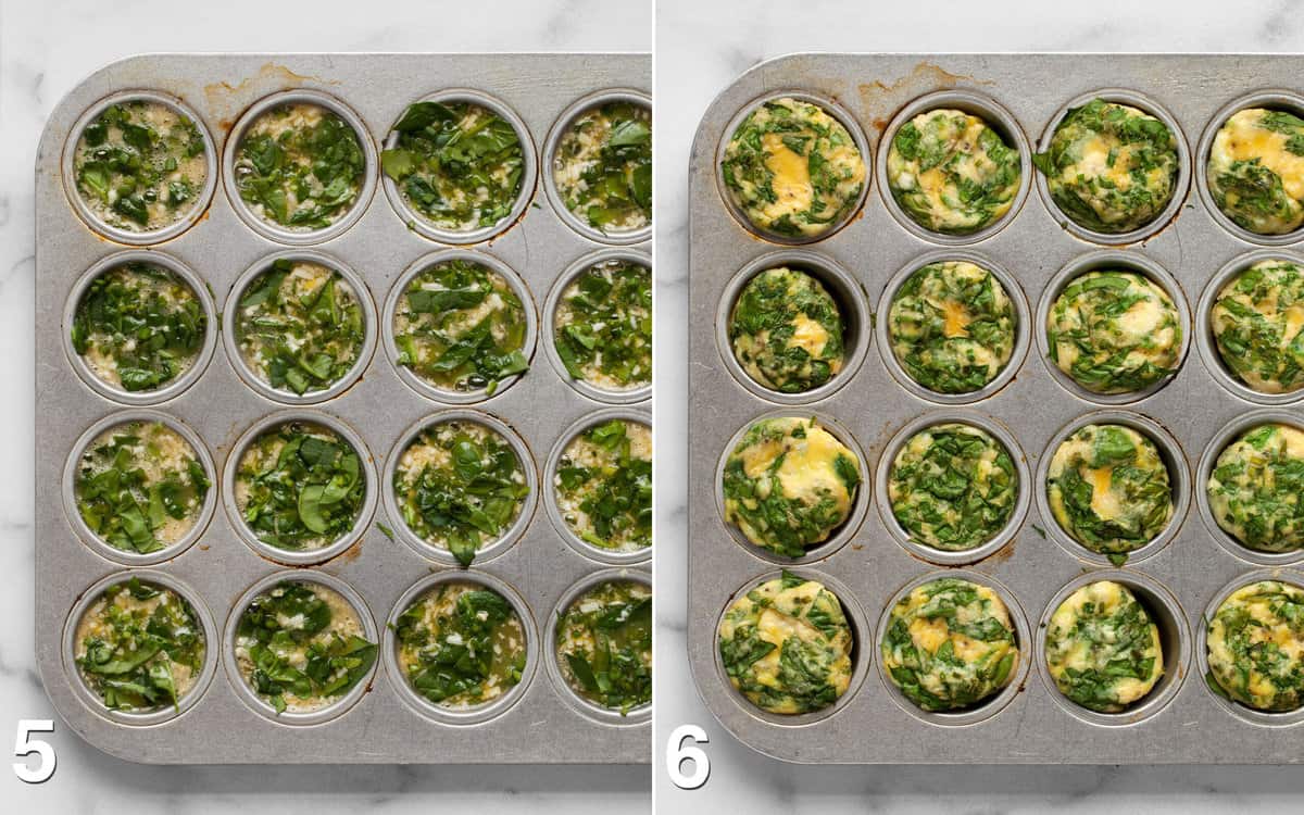 MIni frittatas before and after they are baked in the oven.