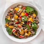 Pumpkin Wild Rice Salad