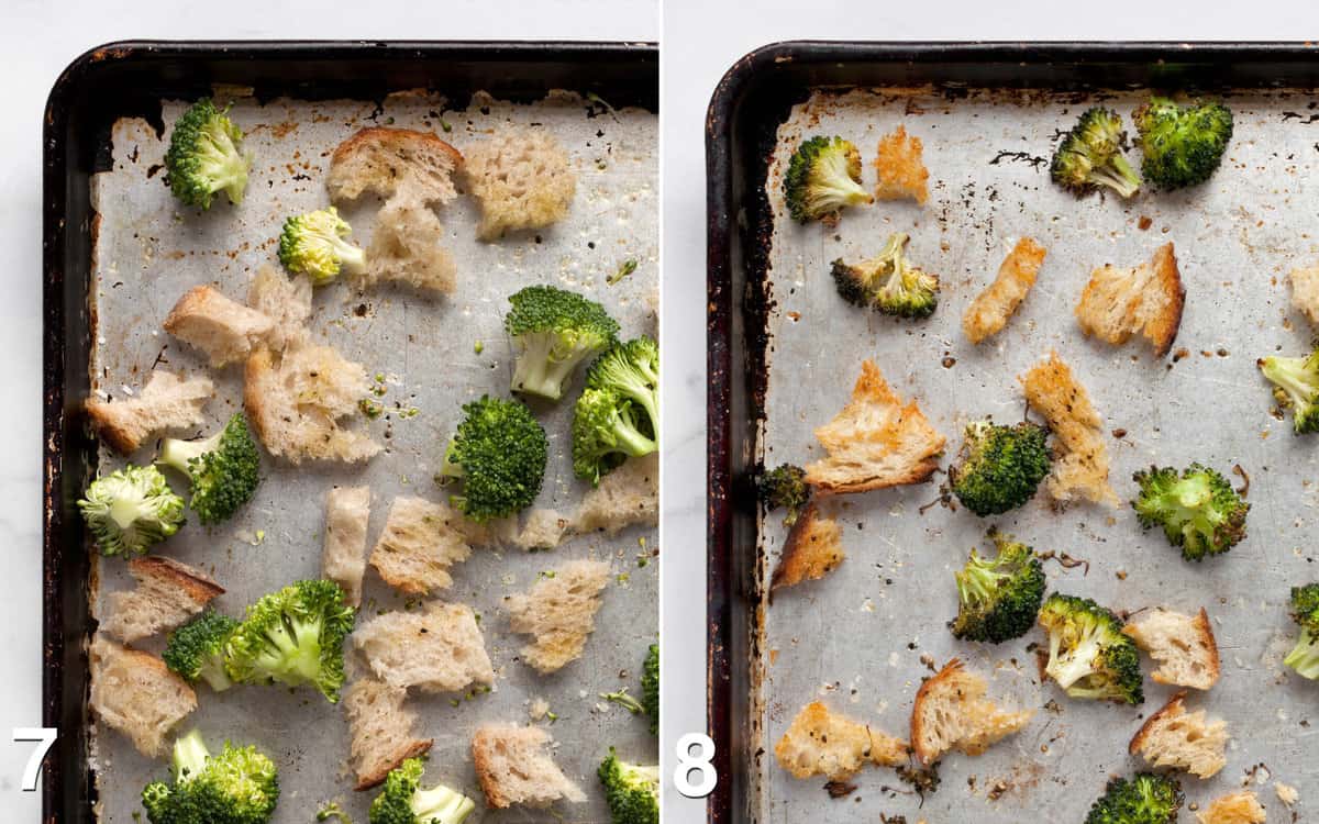 Bread and raw broccoli on pan. Roasted broccoli and croutons in sheet pan.