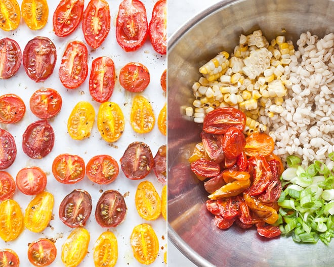 Tomato Corn Barley