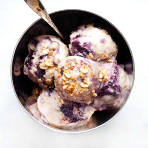 Vegan Blueberry Crumble Ice Cream