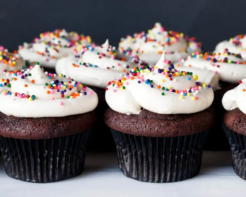 Chocolate cupcakes with buttercream frosting and sprinkles lined up in rows