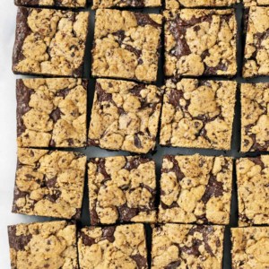 Chocolate Chip Streusel Brownies