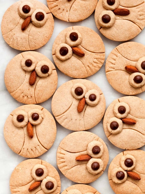 Cinnamon Shortbread Owl Cookies