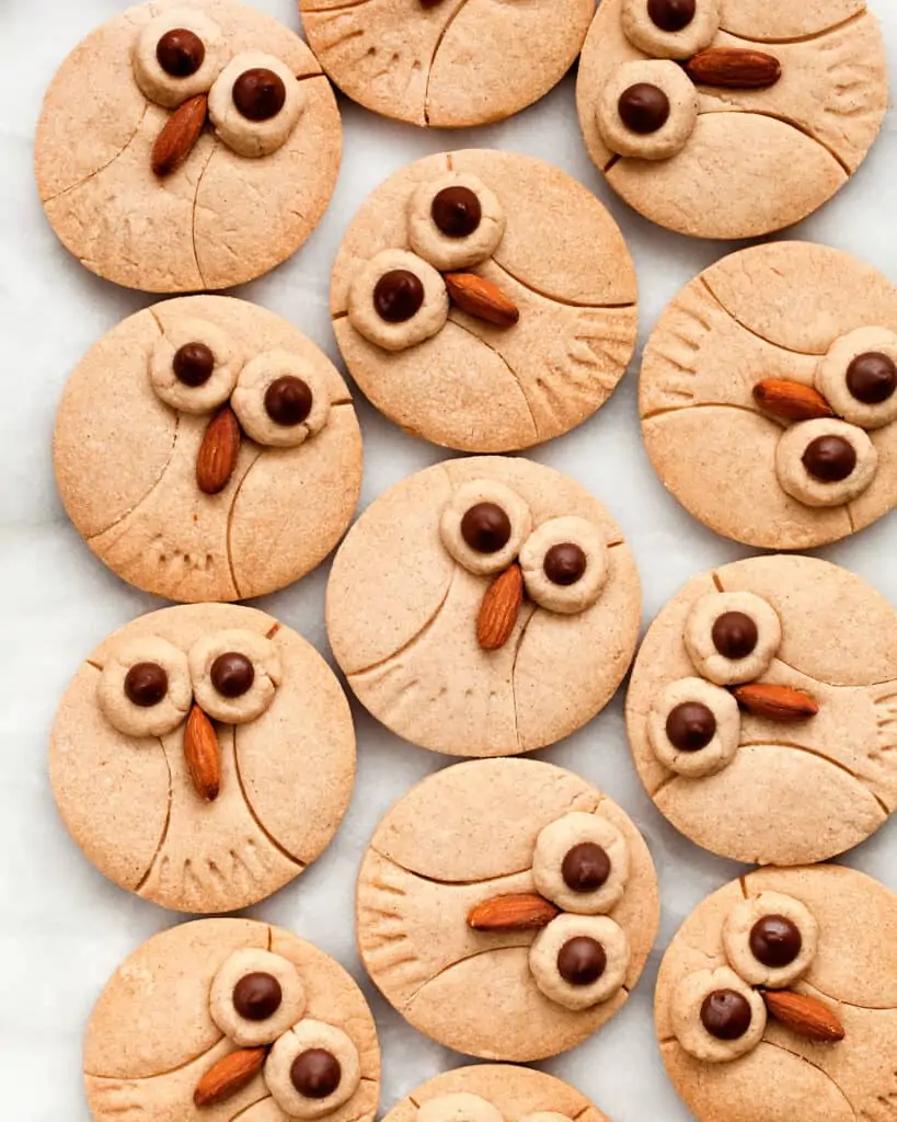 Cinnamon Shortbread Owl Cookies