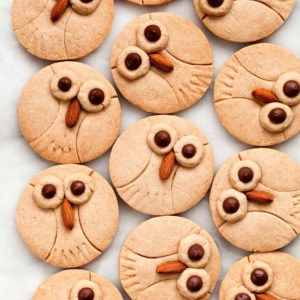 Cinnamon Shortbread Owl Cookies