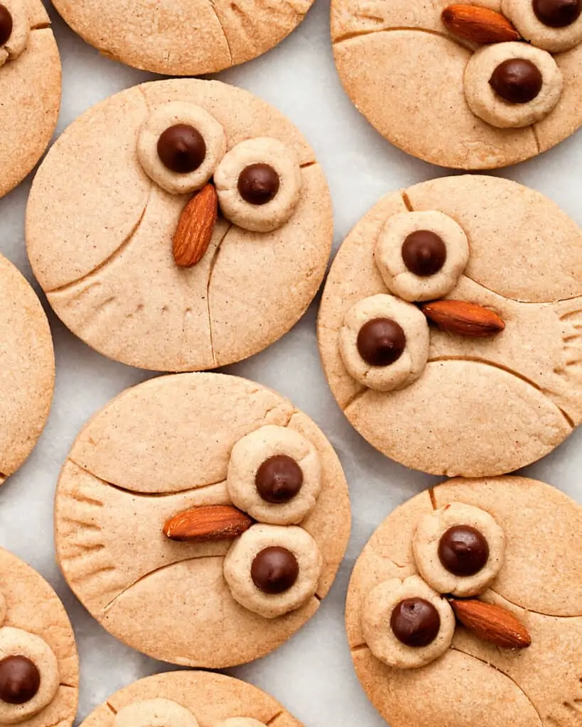 Cinnamon Shortbread Owl Cookies