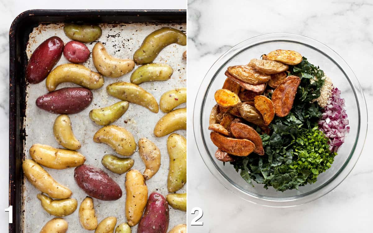 Fingerling potatoes on a sheet pan. Salad assembled in a bowl.
