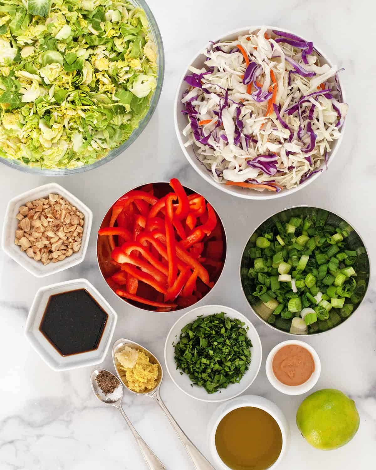 Ingredients including brussels sprouts, coleslaw mix, scallions, red peppers, cilantro, garlic, ginger, oil, lime, soy sauce, peanuts, salt and pepper.