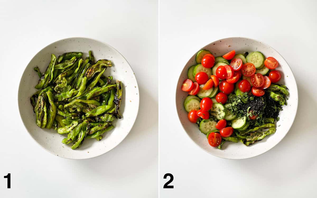 Grilled shishito peppers in a bowl. Peppers combined with tomatoes, cucumbers, cilantro and sesame seeds.