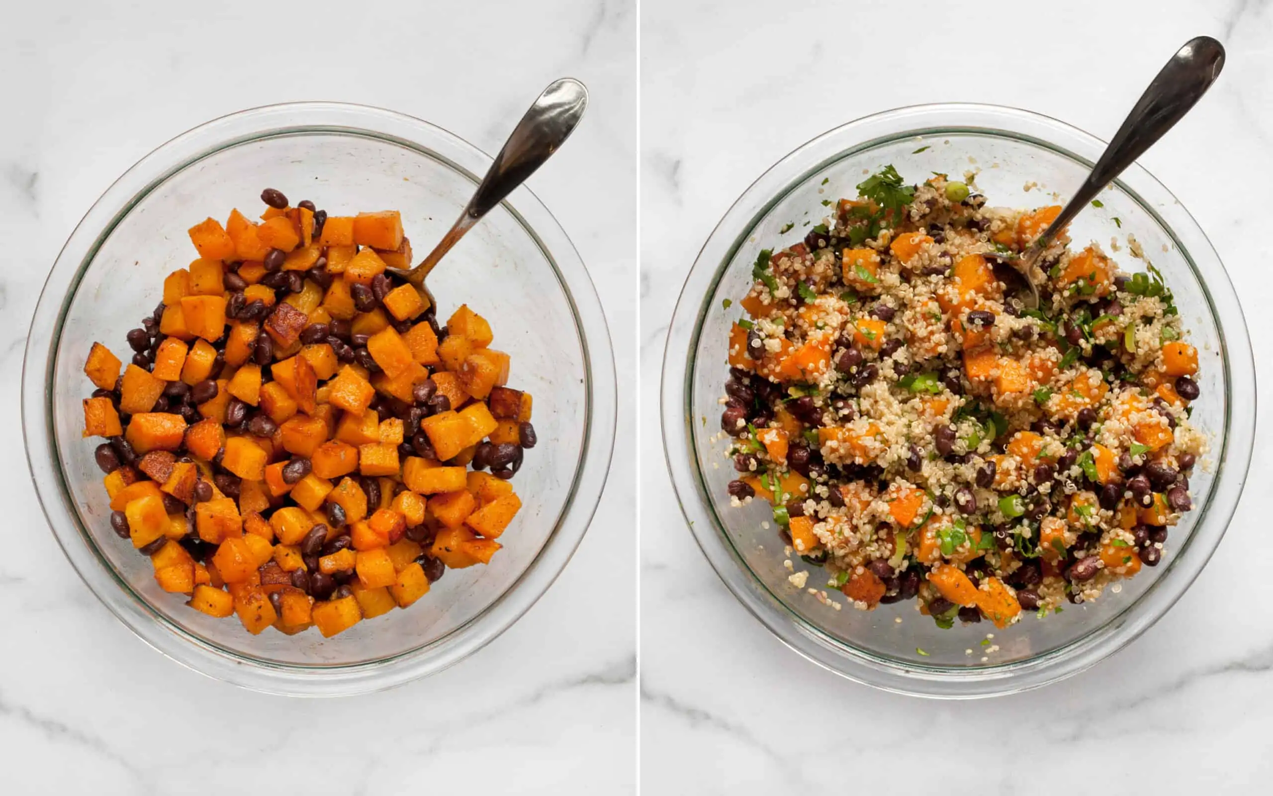 Combine the squash and beans in a bowl. Then stir in the quinoa, scallions and cilantro. 