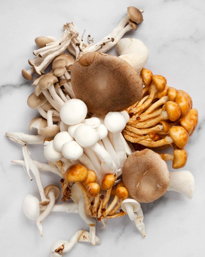 Assorted wild mushrooms