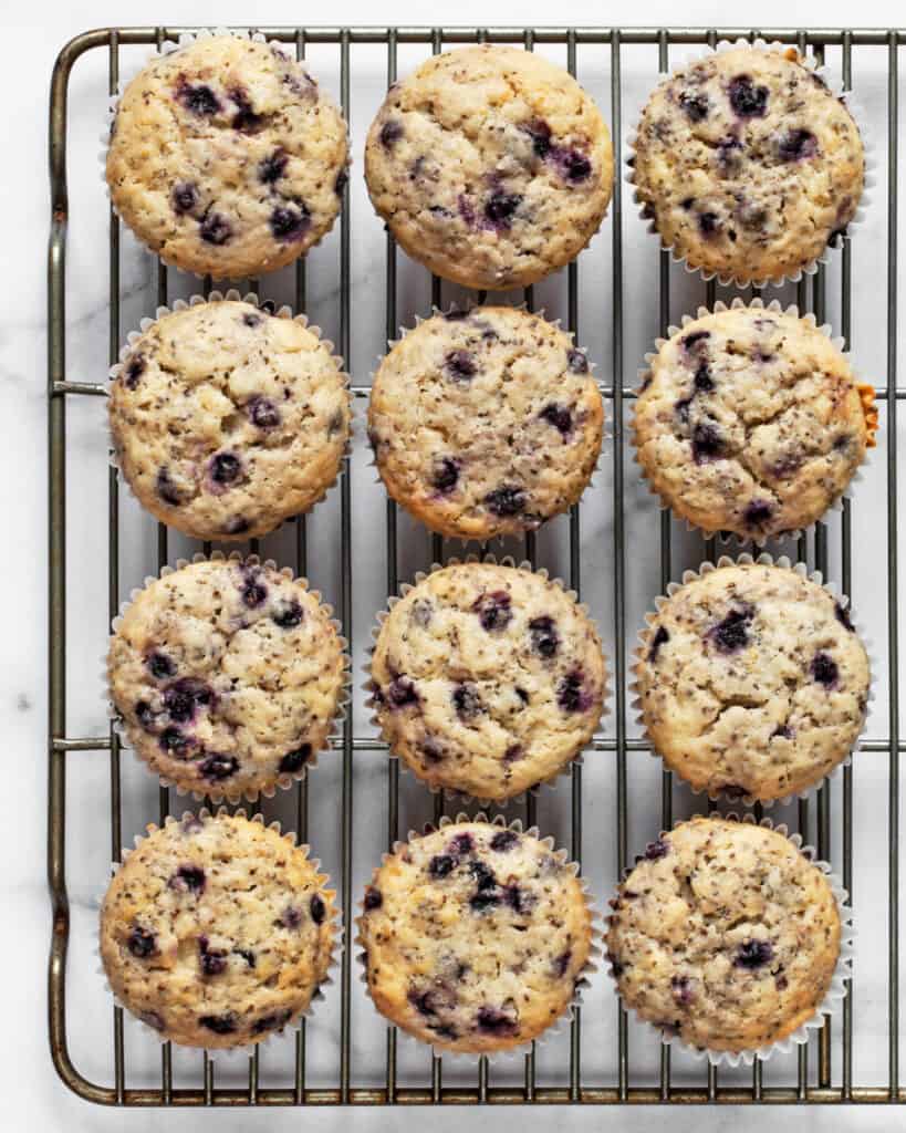 Vegan blueberry muffins on a wire rack