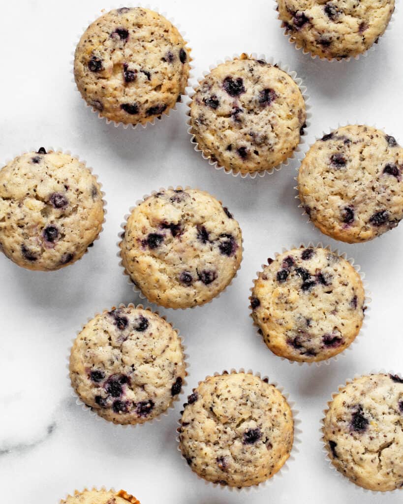 Vegan Blueberry Chia Muffins