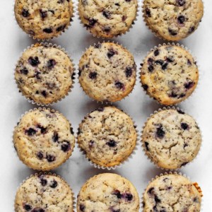 Vegan Blueberry Chia Muffins