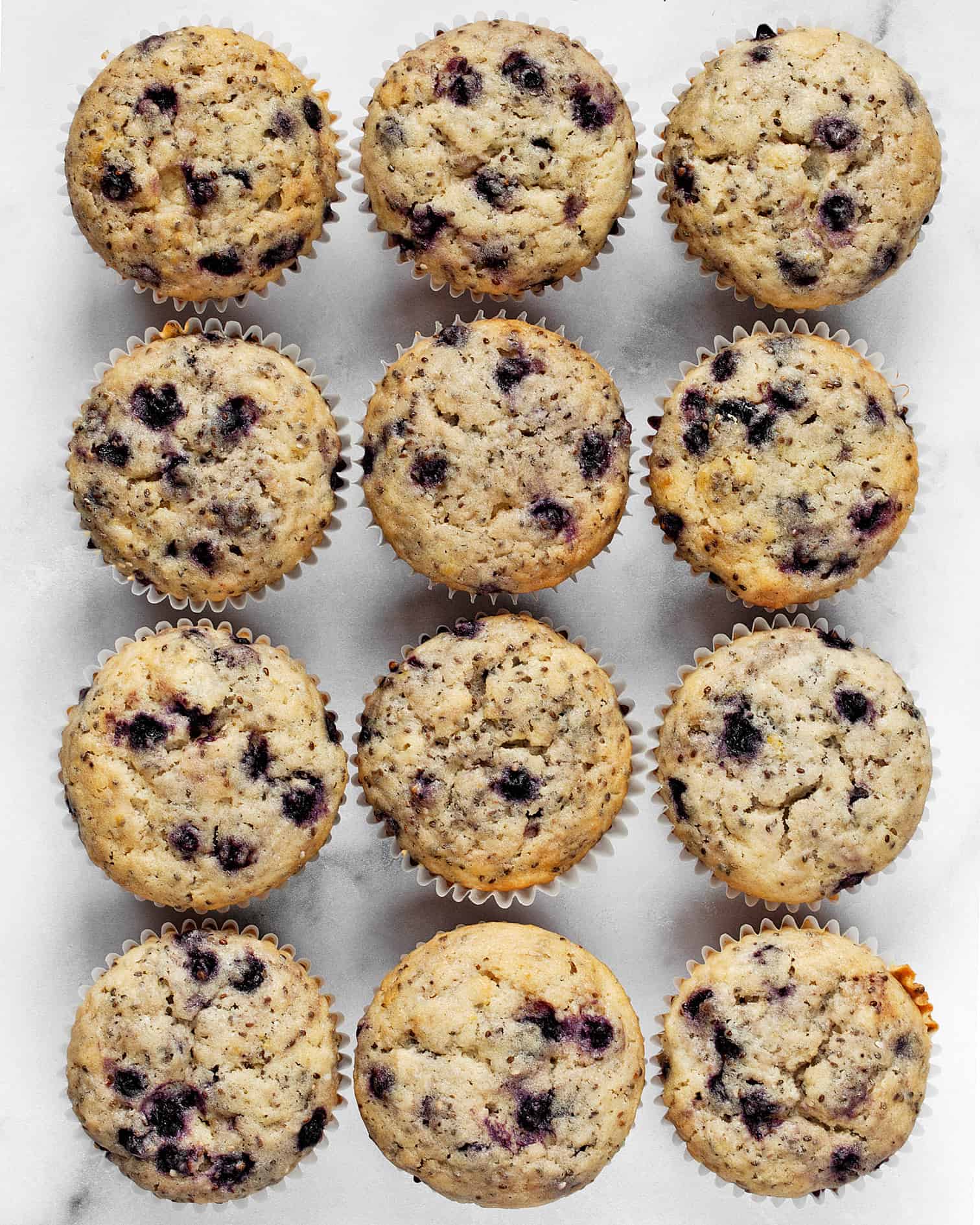 Vegan Blueberry Chia Muffins