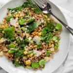 Grilled Corn Fava Bean Farro