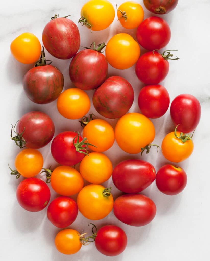 Assorted fresh tomatoes
