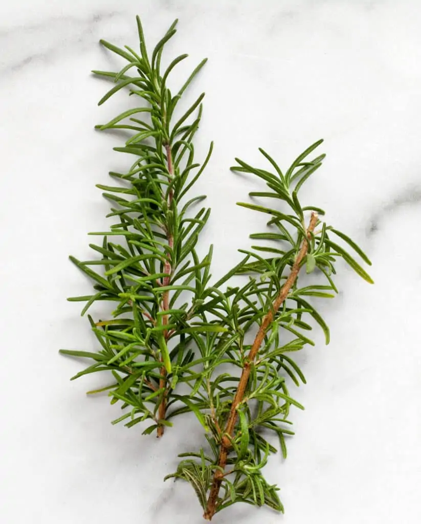 Fresh rosemary sprigs