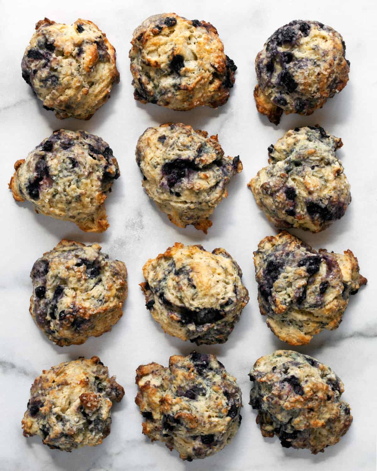 4 rows of blueberry scones.