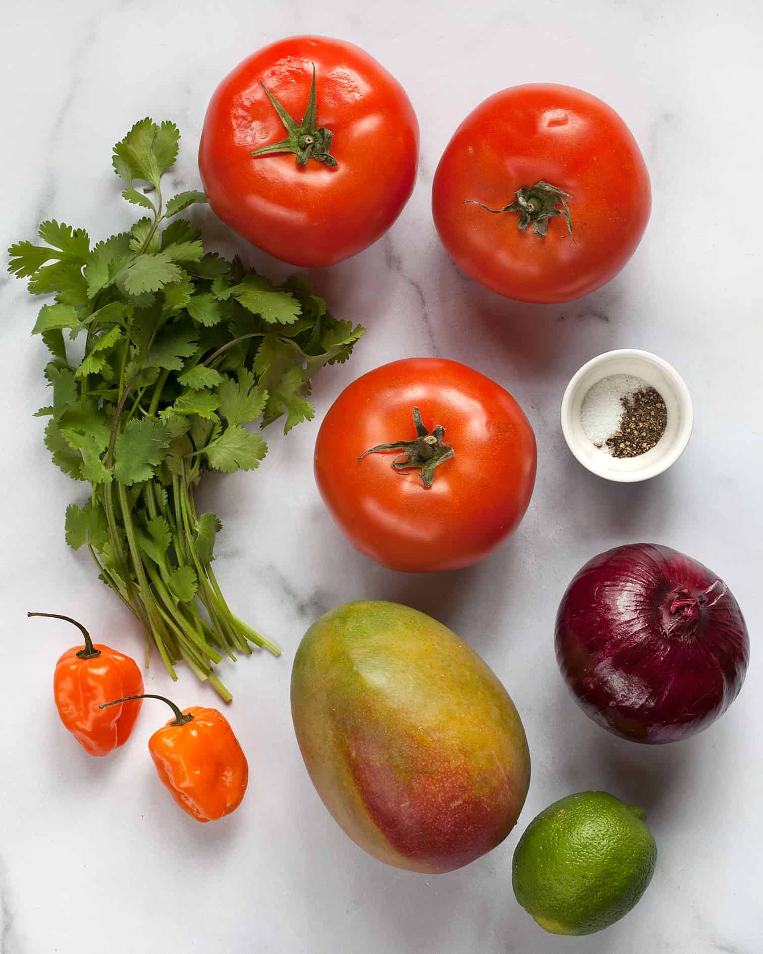 Ingredients for salsa including tomatoes, mando, red onion, habanero chilies, cilantro and lime