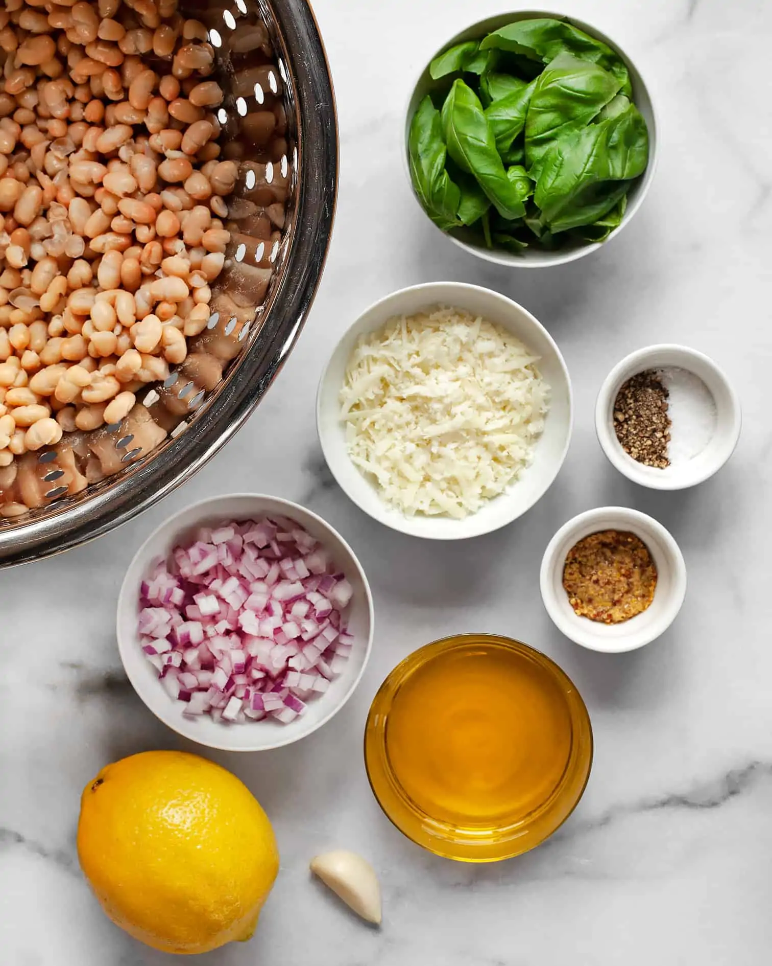 Ingredients including white beans, red onions, pecorino cheese, basil, olive oil and lemon.
