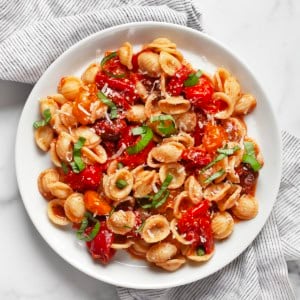 Roasted tomato pasta on a plate.