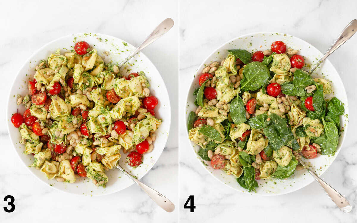 Tortellini, tomatoes, white beans, red onions and pine nuts stirred with pesto. Spinach folded into pasta salad in a bowl.