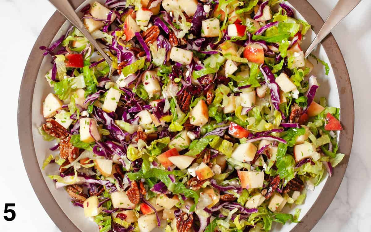 Salad tossed with dressing in a large bowl.