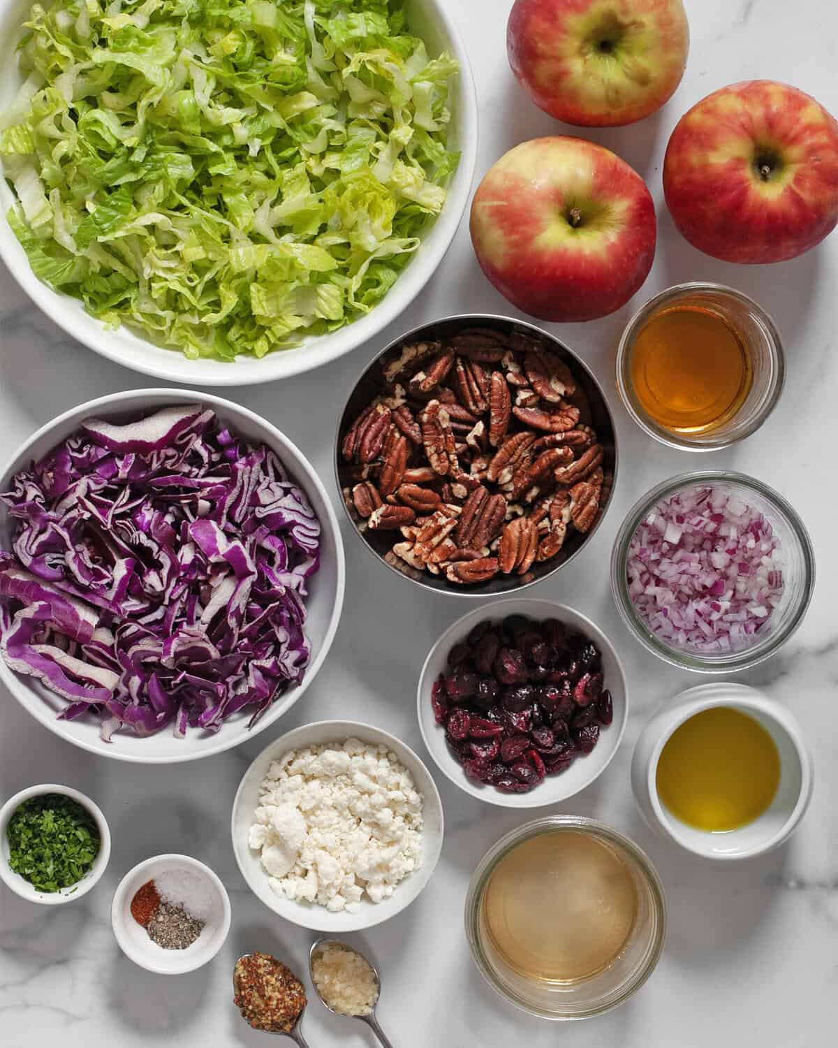 Ingredients including romaine, cabbage, apples, pecans, crumbled goat cheese, parsley, apple cider vinegar, olive oil, mustard, red onions, garlic, salt, pepper and dried cranberries.