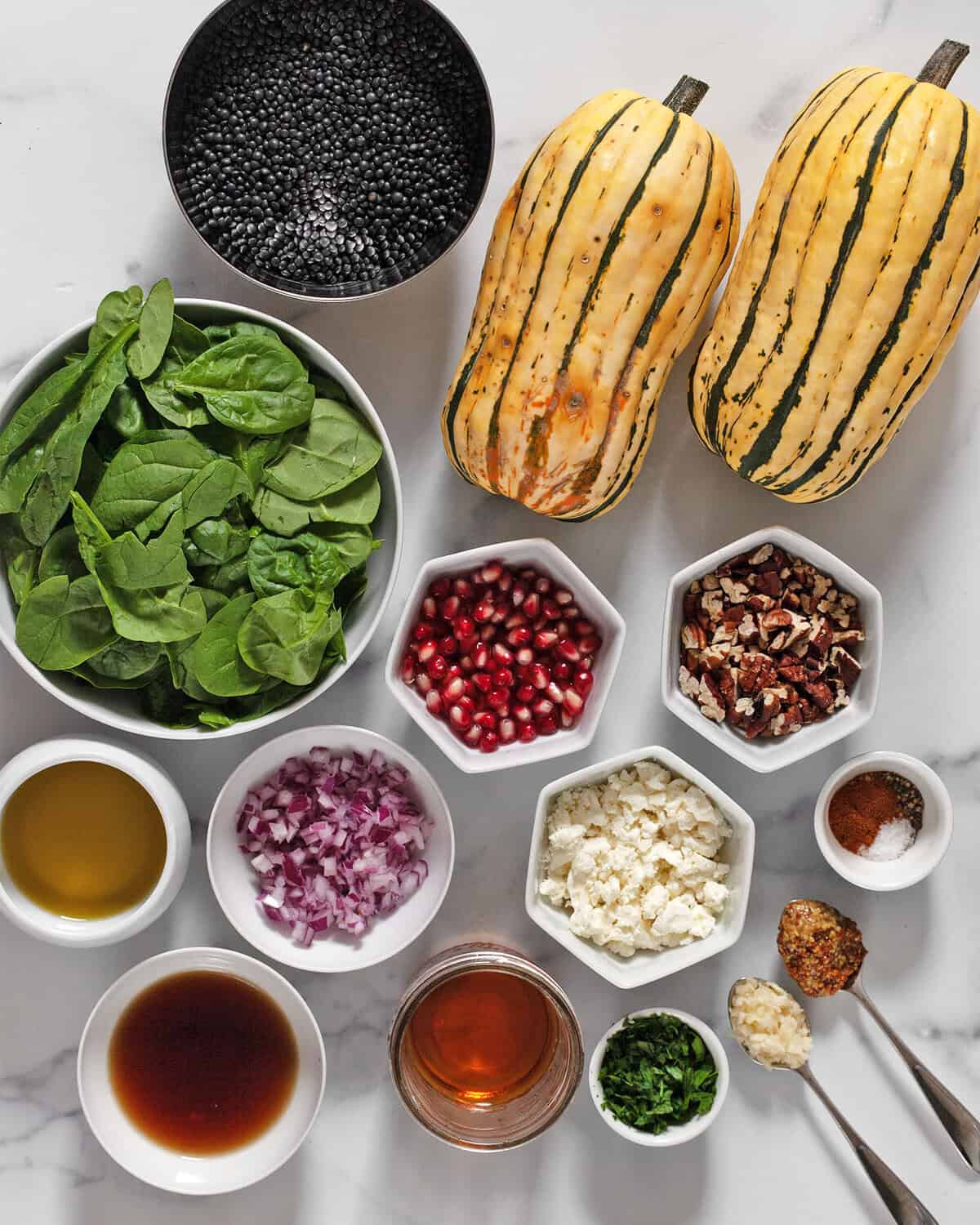 Ingredients including delicata squash, lentils, baby spinach, pecans, pomegranate seeds, red onions, spices, sherry vinegar, olive oil, lemon and goat cheese.