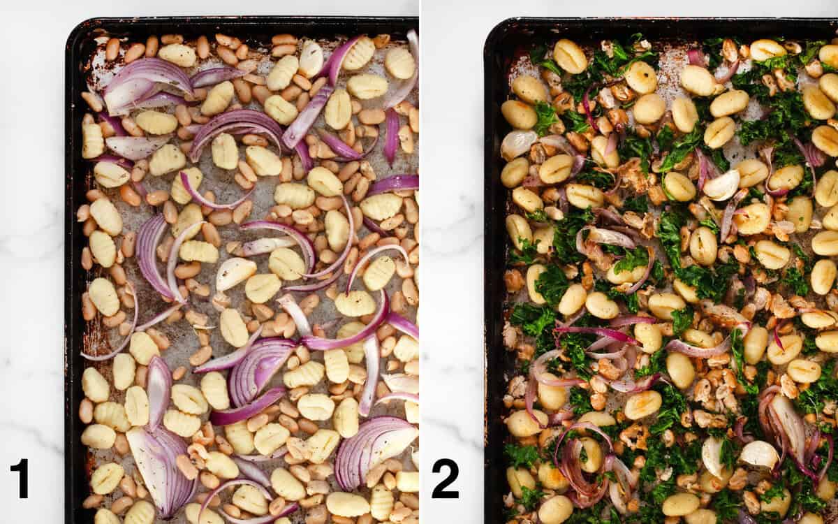 Gnocchi, white beans and red onions on a pan before they roast. All the ingredients including the kale on a sheet pan after they roast.